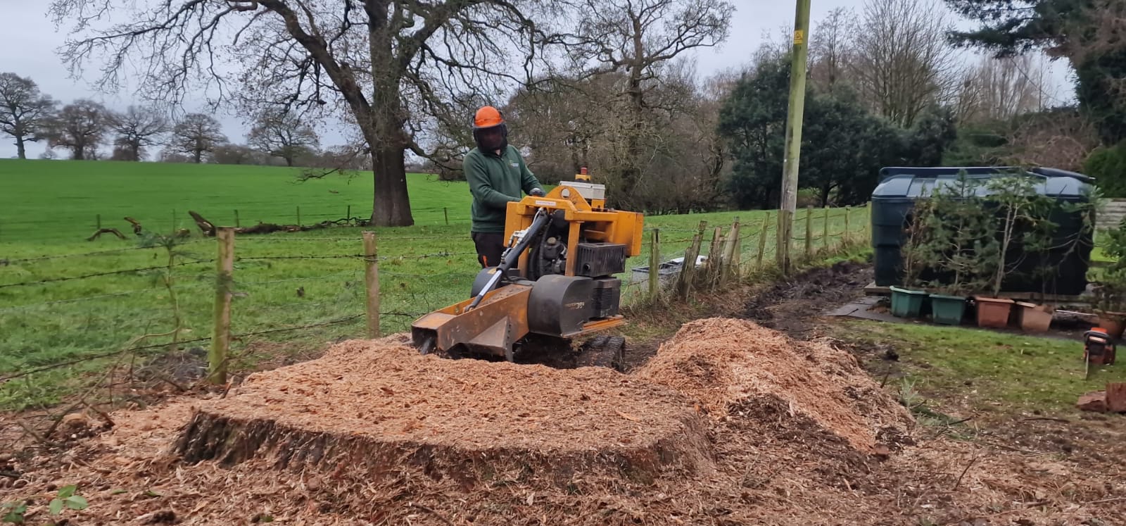 Tree stump removal in Hounslow with professional stump grinder
